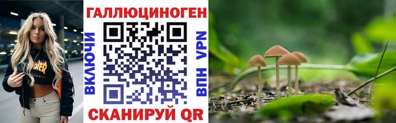 даркнет сайт  ссылка на мегу рабочий сайт  Псилоцибиновые грибы мицелий  Балтийск 