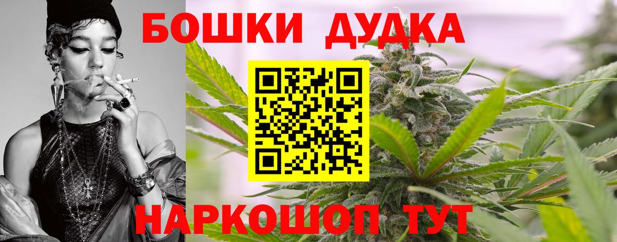 Каннабис индика Балтийск